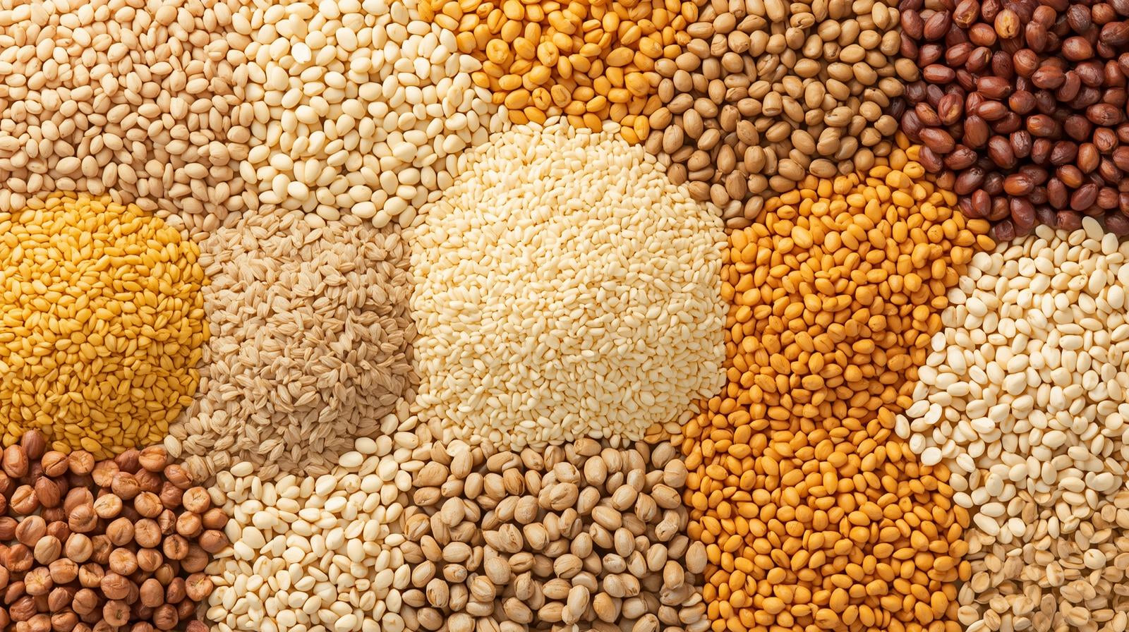 Dals & Pulses | Paruppu & Payaru