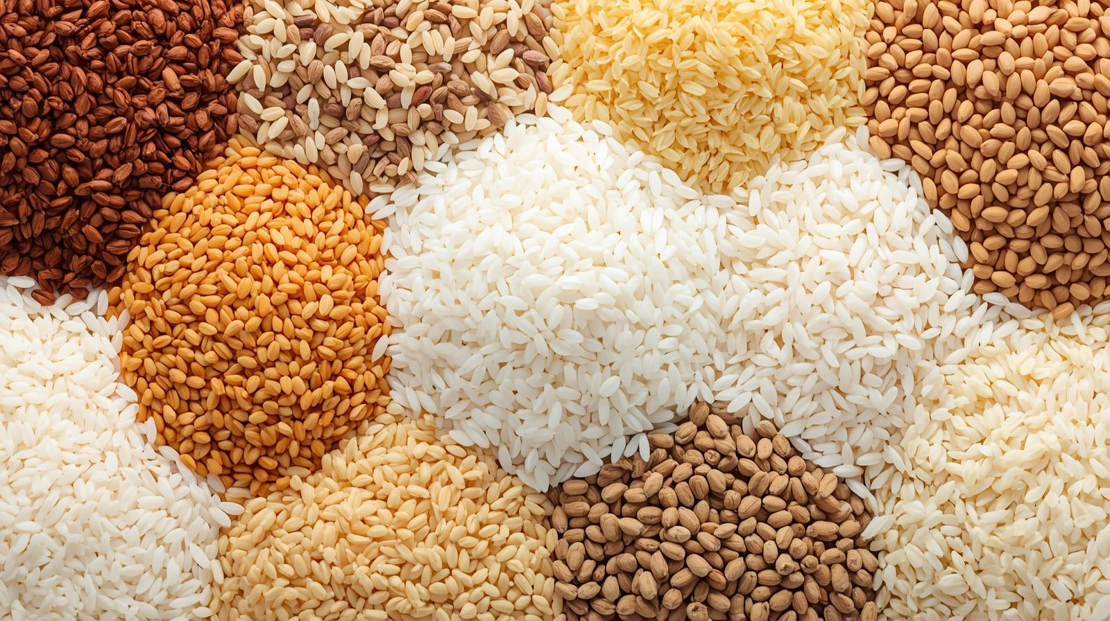 Rice, Grains & Millets | Arisi & Dhanyam